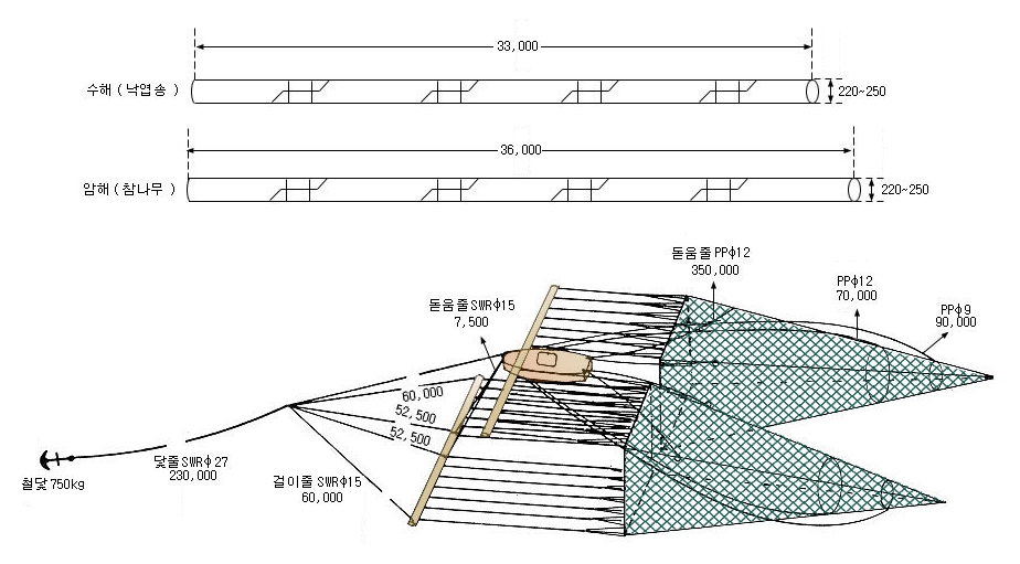 해선망