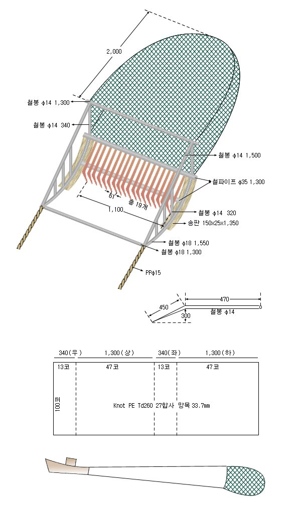 백합형망