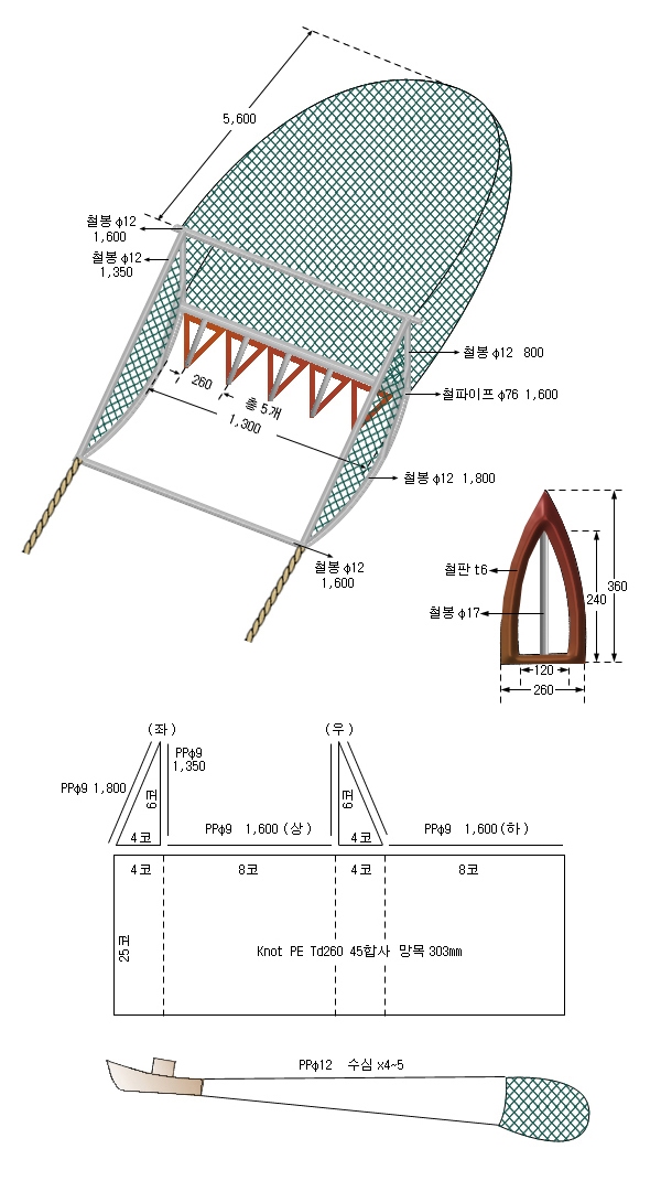 대황형망