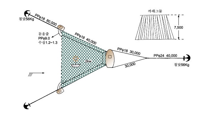멸치3척들망