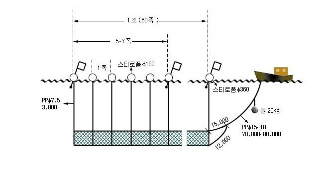 꽁치유자망