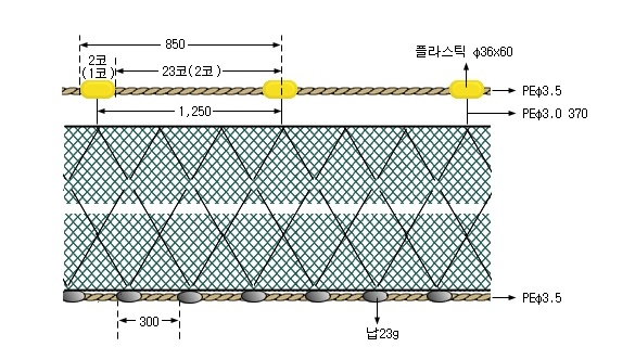 대구삼중자망(2)