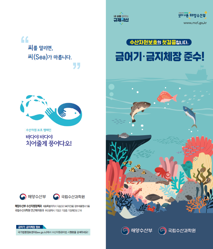 금어기금지체장 규정