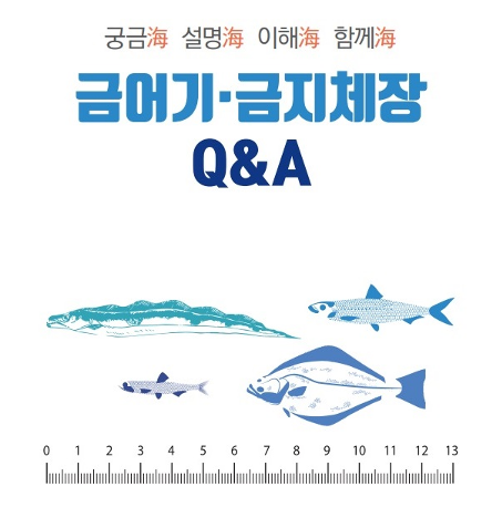 금어기·금지체장 관련 Q&A