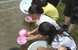 수산자원 조성