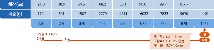 대구 체장,체중 표사진