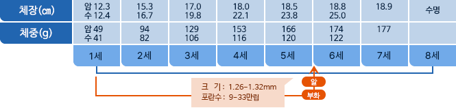 도다리 체장,체중 표사진