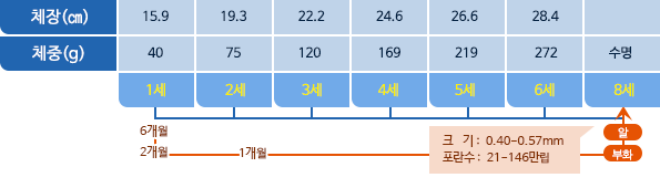 말쥐치 체장,체중 표사진