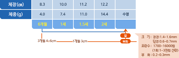 멸치 체장,체중 표사진