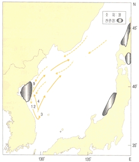 명태 이동사진