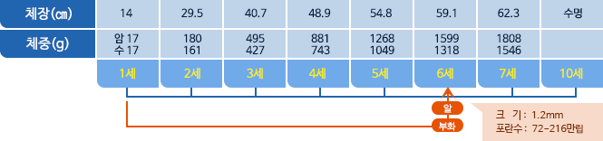 민어 체장,체중 표사진