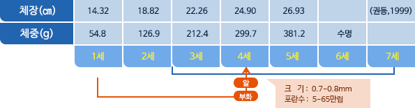 보구치 체장,체중 표사진