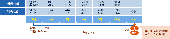 전갱이 체장,체중 표사진