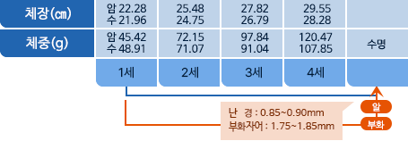 개서대 체장,체중 표사진
