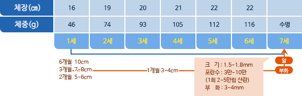 정어리 체장,체중 표사진