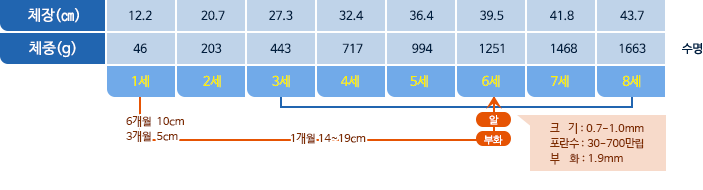 참돔 체장,체중 표사진