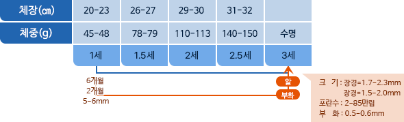 꽁치 체장,체중 표사진
