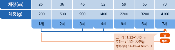 농어 체장,체중 표사진
