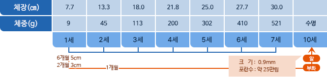 눈볼대 체장,체중 표사진