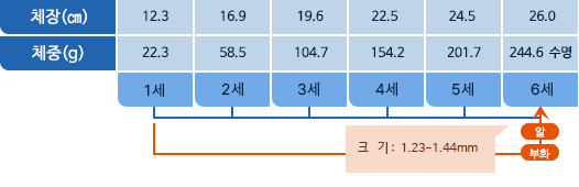 눈퉁멸 체장,체중 표사진