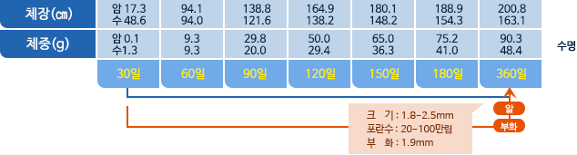 대하 체장,체중 표사진
