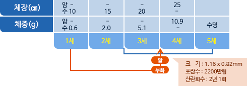 북쪽분홍새우 체장,체중 표사진