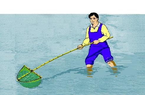 쪽지(실뱀장어)