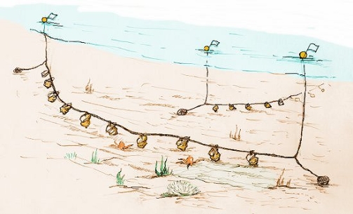 주꾸미소호