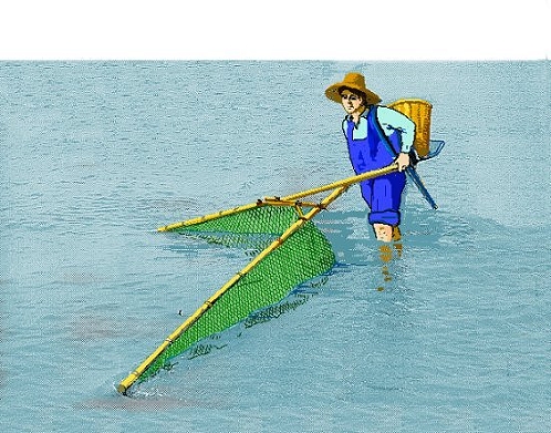 밀대(새우)