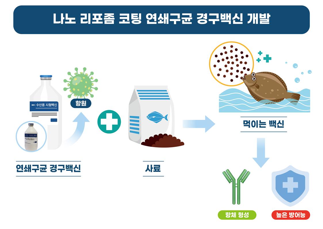 국내 최초 넙치 연쇄구균 예방 경구백신 개발 성공