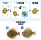 2023년 책임운영기관 서비스혁신 공유대회 우수상 수상