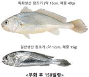 붉은멍게 유래 미생물에서 찾은 신규 주름개선 소재 개발 및 사업화