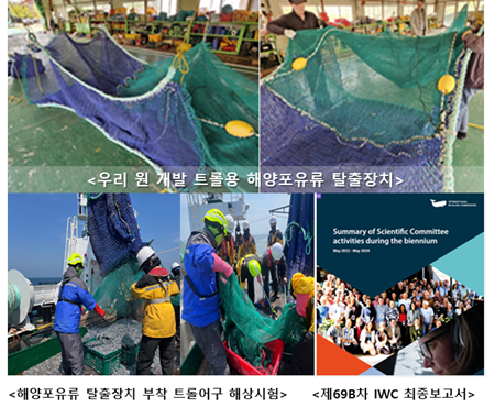 해양포유류 혼획저감 연구로 수출도 지키고, 고래도 살리고!