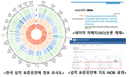 세계 최고 수준의 넙치 표준유전체 지도 완성