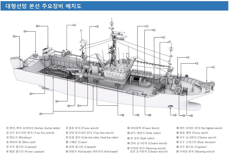 대형선망 본선