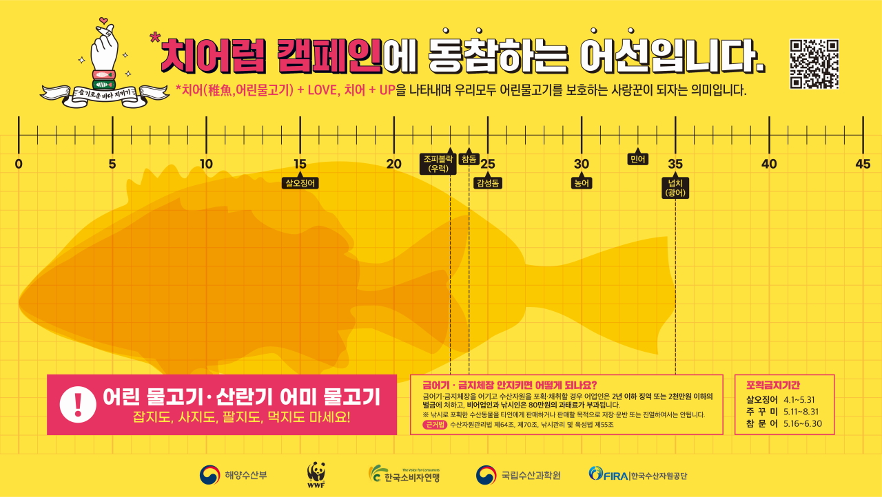 치어럽 캠페인에 동참하는 어선입니다. 치어(稚魚, 어린물고기) + LOVE, 치어+UP을 나타내며 우리모두 어린물고기를 보호하는 사랑꾼이 되자는 의미입니다.                              어린 물고기, 산란기 어미물고기 잡지도, 사지도, 팔지도, 먹지도 마세요! 금어기/금지체장 안지키면 어떻게 되나요? - 금어기/금지체장을 어기고 수산자원을 포획채취할 경우 어업인은 2년 이하 징역 또는 2천만원 이하의 벌금에 처하고 비어업인과 낚시인은 80만원의 과태료가 부과됩니다.                             ※낚시로 포획한 수산동물을 타인에게 판매하거나 판매할 목적으로 저장/운반 또는 진열하여서는 안됩니다. 근거법 : 수산자원관리법 제64조, 제70조, 낚시관리 및 육성법 제55조. 포획금지기간 : 살오징어(4.1~5.31) 쭈꾸미(5.11~8.31) 참문어(5.16~6.30)