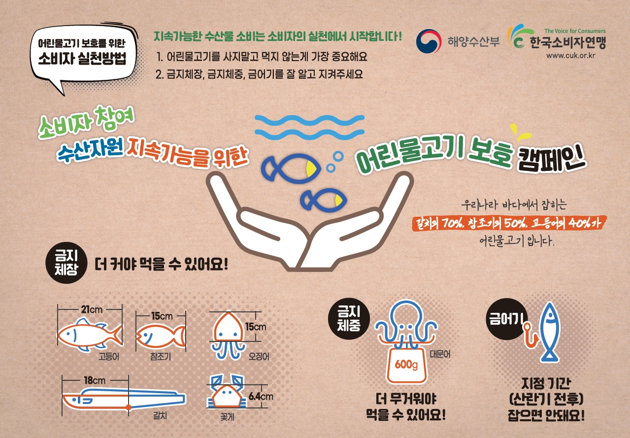 어린물고기 보호를 위한 소비자 실천방법 : 지속가능한 수산물 소비는 소비자의 실천에서 시작합니다!                              1. 어린물고기를 사지말고 먹지않는게 가장 중요해요 2. 금지체장, 금지체중, 금어기를 잘 알고 지켜주세요.                             소비자 참여 수산자원 지속가능을 위한 어린물고기 보호 캠페인 우리나라 바다에서 잡히는 갈치의 70%, 참조기의 50%, 고등어의 40%가 어린물고기입니다.                              금지체장 : 더 커야 먹을 수 있어요(고등어 21cm, 참조기 15cm, 오징어 15cm, 갈치 18cm, 갈치 6.4cm) 금지체장 : 더 무거워야 먹을 수 있어요(대문어 600g)                             금어기 : 지정기간(산란기전후) 잡으면 안돼요!