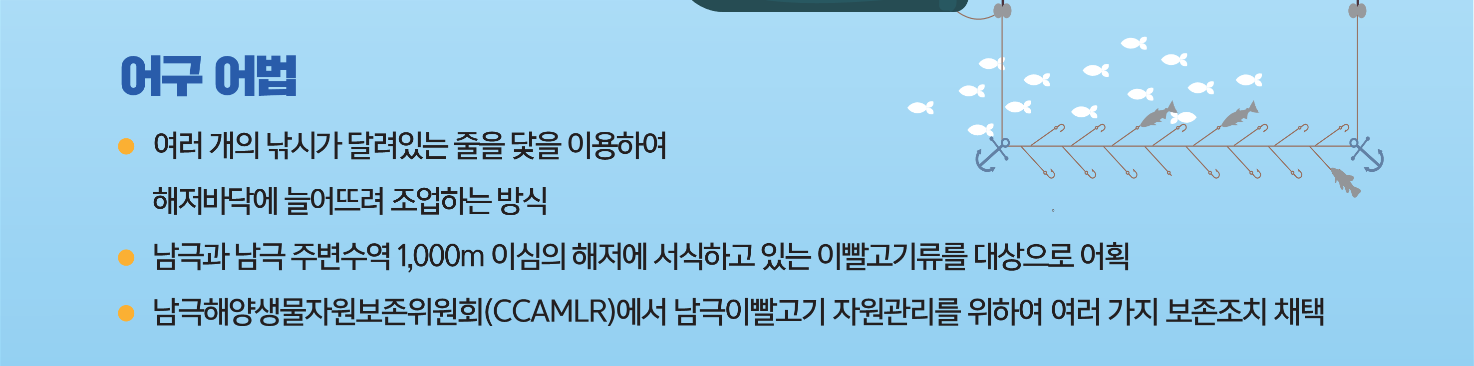 어구 어법 - 여러 개의 낚시가 달려있는 줄을 닻을 이용하여 해저바닥에 늘어뜨려 조업하는 방식, 남극과 남극 주변수역 1,000m이심의 해저에 서식하고 있는 이빨고기류를 대상으로 어획,                   남극해양생물자원보존위원회(CCAMLR)에서 남극이빨고기 자원관리를 위하여 여러 가지 보존조치 채택