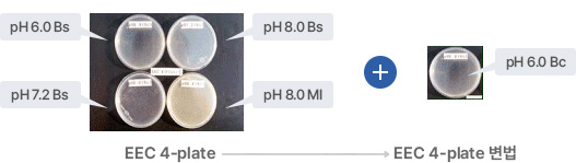 EEC 4-plate(pH 6.0 Bs, pH 8.0 Bs, pH 7.2 Bs, pH 8.0 MI) + EEC 4-plate 변법(pH 6.0 Bc)