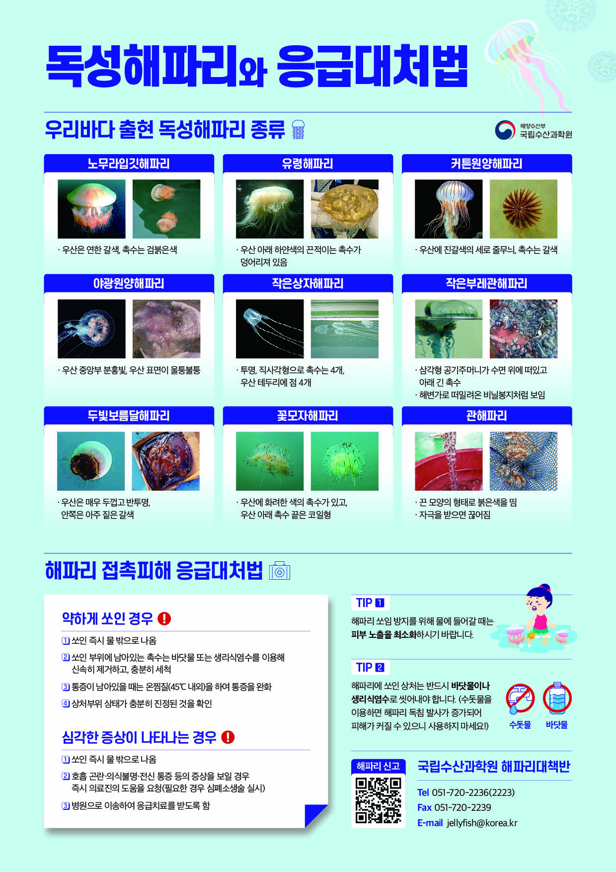 독성해파리와 응급대처법