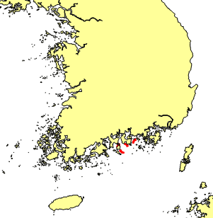 2009(10.28~11.9) 이미지