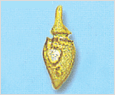 Oxyphysis oxytoxoides 이미지