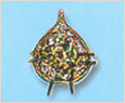 Protoperidinium pacificum 이미지