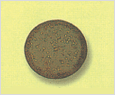 Coscinodiscus gigas 이미지