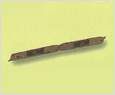 Rhizosolenia indica 이미지