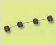 Thalassiosira decipiens 이미지