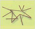 Thalassiothrix frauenfeldii 이미지