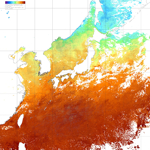 Remote Sensing Reflect(443, 486, 551, 671nm) 이미지