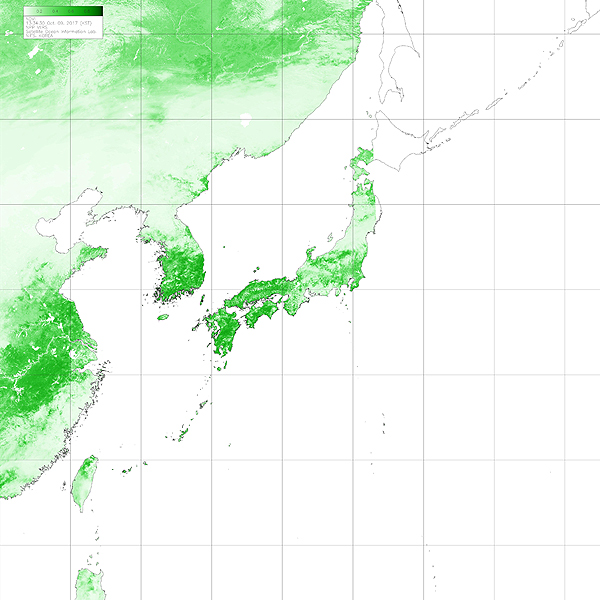 NDVI 이미지