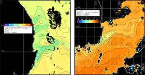 NOAA 위성 AVHRR 자료 해수면 온도 분석에 의한 남동해안 냉수대 발생감시 예 이미지
